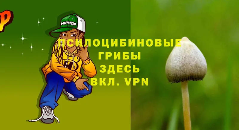 kraken зеркало  Боровск  Галлюциногенные грибы MAGIC MUSHROOMS 